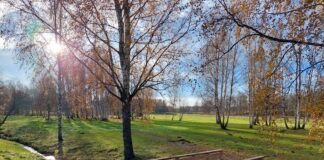 Kaasava eelarve hääletusel kogusid enim hääli esitatud ideed Ülenurmelt ja Vana-Kuustest