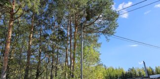 Kambja alevikus toimuvad elektri liinikoridoride hooldustööd