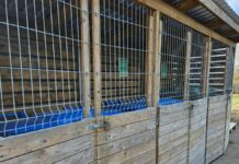 Millele tuleb tähelepanu pöörata kuni 20 m² väikeehitiste ehitamisel?