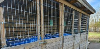 Millele tuleb tähelepanu pöörata kuni 20 m² väikeehitiste ehitamisel?