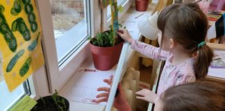 Kambja lasteaia lapsed said toidukonkursil peaauhinna