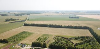 Riigimaa oksjonil on kolm kinnistut Kambja vallast