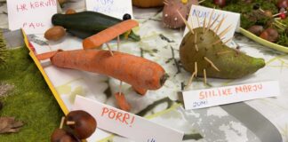 Nunnunäitus Unipiha Algkoolis