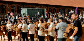 Ülenurme sügislaat ja Tõuloom 2024 pakkus põneva päeva kogu perele ja ka korraldajatele