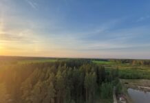 RMK alustab lähiajal Tatra orus kuivanud puude raiet