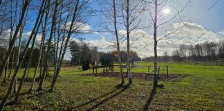 Poldrijärve matkaraja kasutusvõimalused on laienenud