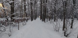 Kohalike teede talihooldusest