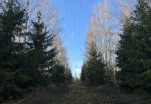 Elektrilevi lõpetas liinihooldustööd Kambja/Kuuste keskpinge fiidril