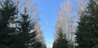 Elektrilevi lõpetas liinihooldustööd Kambja/Kuuste keskpinge fiidril