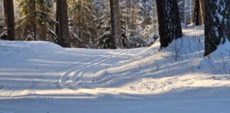 Talverõõmudest Kambja suusaradadel