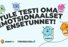 Peaasi.ee kutsub asutusi osalema emotsionaalse enesetunde testimises