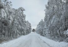 Transpordiamet soovitab rehvide vahetamisel mitte oodata külmakraadide saabumist