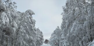 Transpordiamet soovitab rehvide vahetamisel mitte oodata külmakraadide saabumist