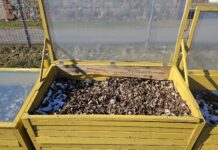 Aia- ja haljastusjäätmete kogumisest