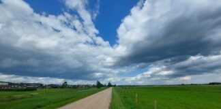 Loodusvaatluste maraton ootab registreerima vaatlusalasid