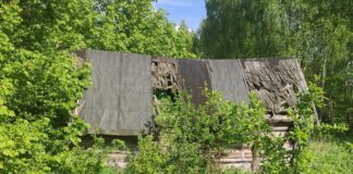 Laane külas on müüa enampakkumisel kinnistud