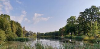 Kambja järve seisundi parandamiseks algavad uurimistööd