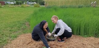 Õnnemaa Kambja valla noortemalevast