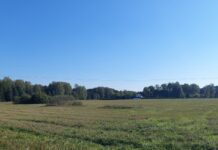 Hajaasustuse programmi taotlusvooru tulemustest Avatud heinamaa, mille taustal on metsaserv ja üksik taluhoone, selge sinise taeva all.