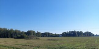 Hajaasustuse programmi taotlusvooru tulemustest Avatud heinamaa, mille taustal on metsaserv ja üksik taluhoone, selge sinise taeva all.