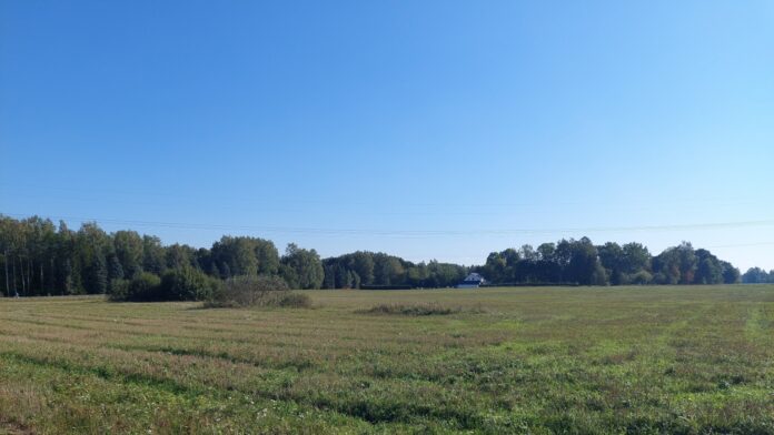 Avatud heinamaa, mille taustal on metsaserv ja üksik taluhoone, selge sinise taeva all.