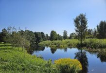 Porijõe supluskohas oli märgata reostunud vett