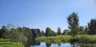 Porijõe supluskohas oli märgata reostunud vett