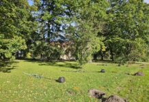 Pargi tänava allee Ülenurmel saab uue ja värske ilme