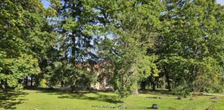 Pargi tänava allee Ülenurmel saab uue ja värske ilme