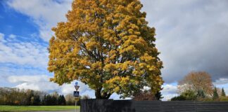 Ülenurmel Silmapiiri tänava ristmikule paigutatakse STOP märk