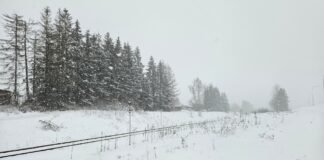 Tartu–Reola raudteelõik läbib kapitaalremondi