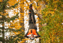 Arborist soovitab: neli toimingut, mida enne talveperioodi kindlasti teha Pea alaspidi rippuv arborist.