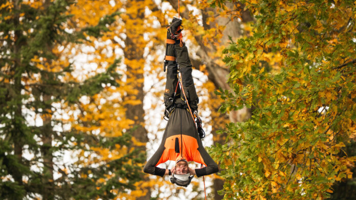 Pea alaspidi rippuv arborist.