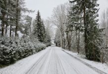 Näki teel suletakse ajutiselt liiklus