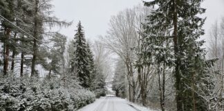 Näki teel suletakse ajutiselt liiklus