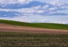 Enampakkumine riigimaa kasutusse andmiseks