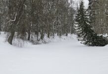 Enne jääle minekut tuleb veenduda, et see kannab