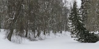 Enne jääle minekut tuleb veenduda, et see kannab