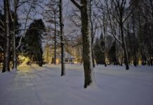 Omavalitsustele anti senisest suurem õigus reguleerida oma sisemisi küsimusi