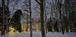 Omavalitsustele anti senisest suurem õigus reguleerida oma sisemisi küsimusi