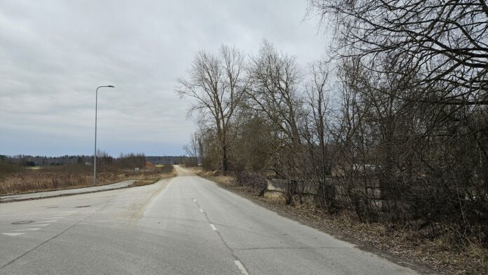 lemmatsi–variku tee