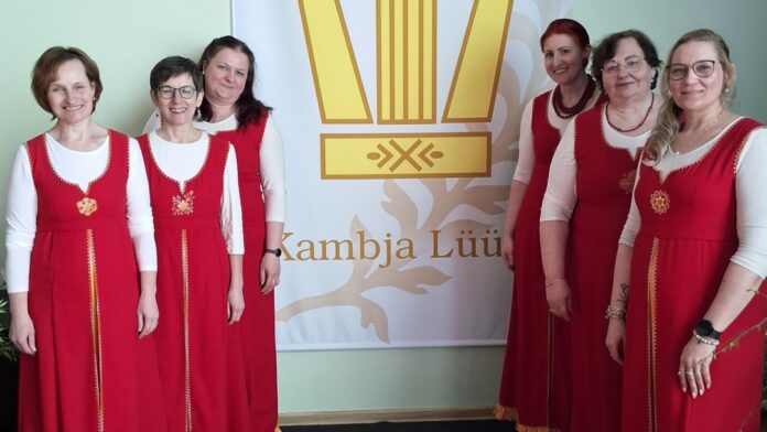 Pildil poseerib kuus naist, kes kannavad ühtseid rahvuslikust stiilist inspireeritud punaseid kleite valgete pluusidega. Nad seisavad kahes grupis suure plakati kõrval, millel on kujutatud lüüra ning kiri „Kambja Lüüra“. Naised naeratavad ja vaatavad kaamerasse, luues sõbraliku ja ühtse meeleolu. Taustaks on hele sein ning põrandal puitparkett. Pilt viitab koorilaulu või kultuuritegevusega seotud kollektiivile.