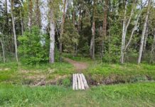 Puugihammustuse järel tuleb lapse tervist jälgida vähemalt 30 päeva