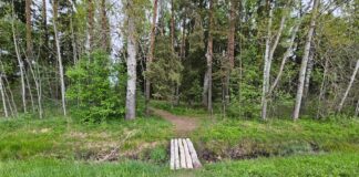 Puugihammustuse järel tuleb lapse tervist jälgida vähemalt 30 päeva